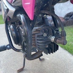 ポケバイ！（不動）の画像