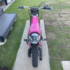 ポケバイ！（不動）の画像