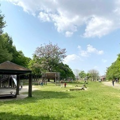【20代30代男女】散歩なかま募集〜！