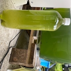 グリーンウォーター【2000ml】