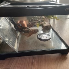 爬虫類用飼育用具一式(HYDRA3120➕‪α‬)①の画像