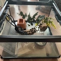 爬虫類用飼育用具一式(HYDRA3120➕‪α‬)①