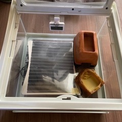 エキゾテラ多数 HYDRA3120 爬虫類飼育セット③ 相談中の画像