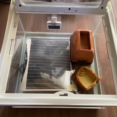 エキゾテラ多数 HYDRA3120 爬虫類飼育セット③ 相談中