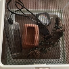 爬虫類飼育セット1式 HYDRA3120④ 相談中の画像