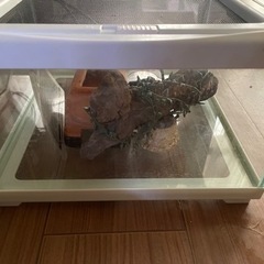 爬虫類飼育セット1式 HYDRA3120④ 相談中の画像