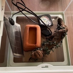 爬虫類飼育セット1式 HYDRA3120④ 相談中
