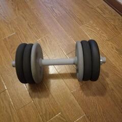 ③早い者勝ち！ダンベル10kg