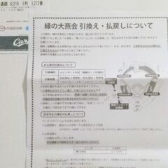 カープチケット ヤクルト応燕ユニ配布券付