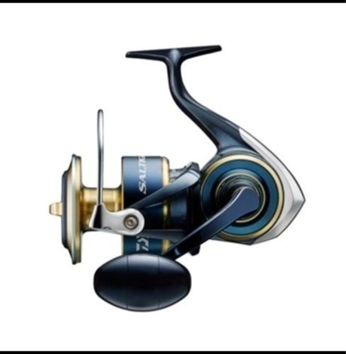 ダイワ(DAIWA) スピニングリール 20 ソルティガ