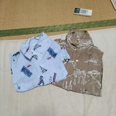 いまなら春夏秋冬、部屋着も手に入るよ？の画像