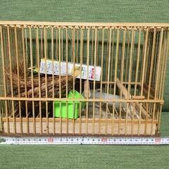 四角い鳥かご ケージ 鳥籠 小鳥用 インコの画像