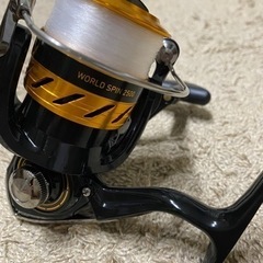 【ダイワ！糸付き！保冷剤(小)付き！】DAIWA ワールドスピン...