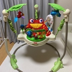 美品  レインフォレストジャンパルー 