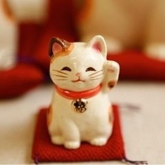 ハイキング仲間を募集中(*^^*)