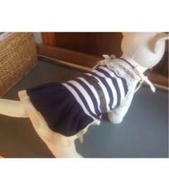 モデルワンコ付きペット服マリンの画像