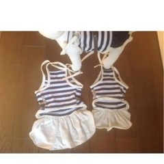 モデルワンコ付きペット服マリンの画像
