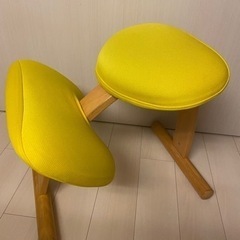 バランスチェア イージー　サカモトハウス