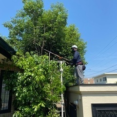 便利屋バイト募集