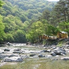 趣味友(川遊びなど)＆散歩友達募集！！🚶🚶🚶