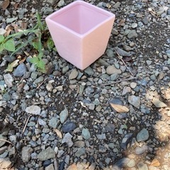 鉢カバー