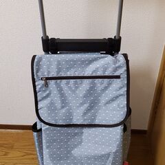 【買い物キャリーバッグ】ecoRoRo 29L