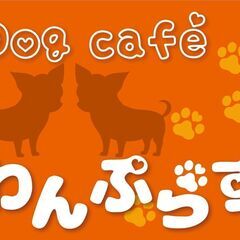 ドッグカフェわんぷらす　4月にオープンしたばかりのお店です。