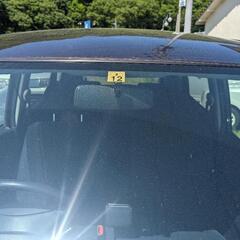 人気のムーブ、車検付きの画像