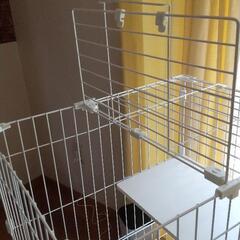 猫ケージの画像