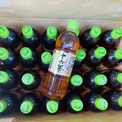 アサヒ十六茶（2ケース）48本ペットボトル飲料