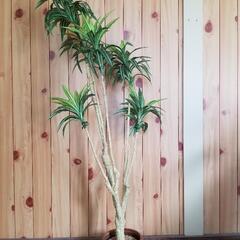 人工観葉植物