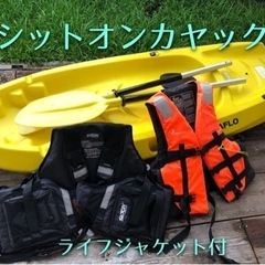 シットオンカヤック　⭐︎取引決定いたしました