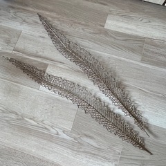 値下げ🍁フェイクの葉っぱや枝　の画像