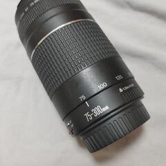 キヤノン ズームレンズ EF75-300mm F4-5.6 III