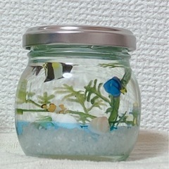 アクアリウム作りの画像