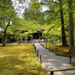今週、木曜か金曜に登山出来る方募集してます！