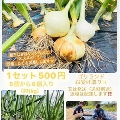 美味しい新玉ねぎ残りわずかです✨