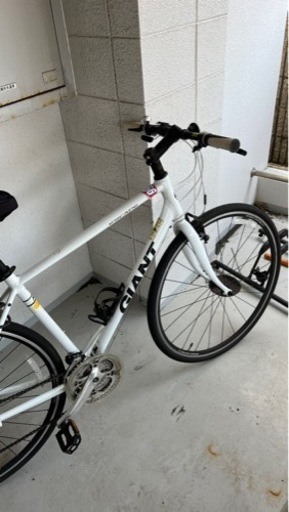 ジャイアント　エスケープ　r3 M 2018