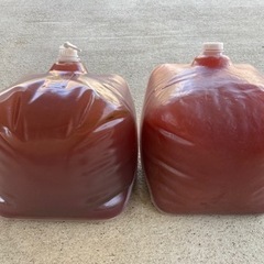 自家製光合成細菌PSB ⭐︎メダカ針子初期餌に