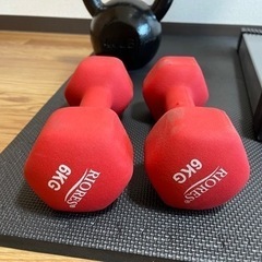 フレックスベル　可変ダンベル  2〜32kgの画像