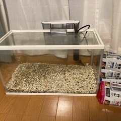 水槽30リットル