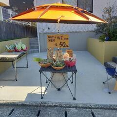 無農薬朝採り野菜　 5月29日15時より