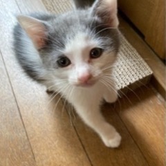 4月5日生まれの4匹♪