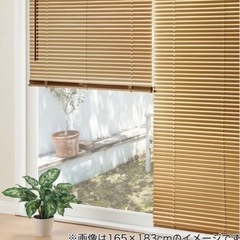 ニトリ　ブラインダーの画像