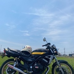 【直接取引希望】今だけ値引き中　カスタム　KAWASAKI バリオス250 2型　ショート管 の画像