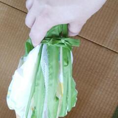 おもちゃ　トンネルの画像