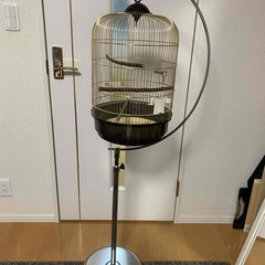 商談中　鳥かご　スタンド付　高さ調整可