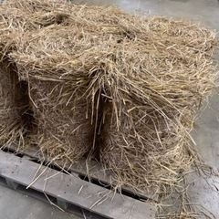 稲藁　ロール　10kg 500円