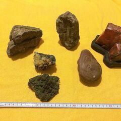 鑑賞石 　水石　緑石　景石　置物　庭石　お部屋でおしゃれにミニ枯山水！