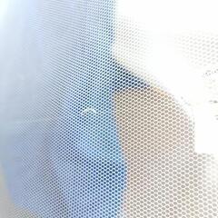 ボールプール ボール300個くらいの画像